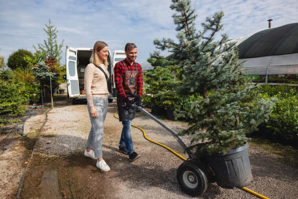 Best Seasonal Cleanup (Spring/Fall)  in USA